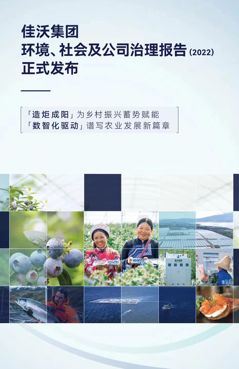 《中国乡村振兴》杂志社、佳沃集团联合发布ESG报告：让一方水土既能育产业也能富百姓