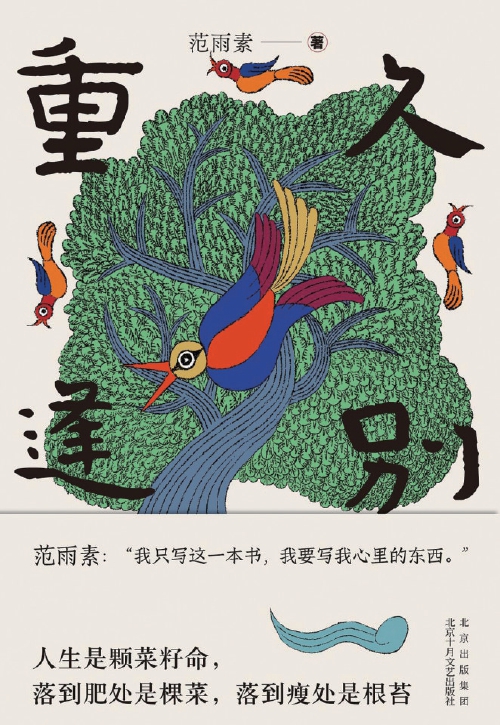 还是那个范雨素