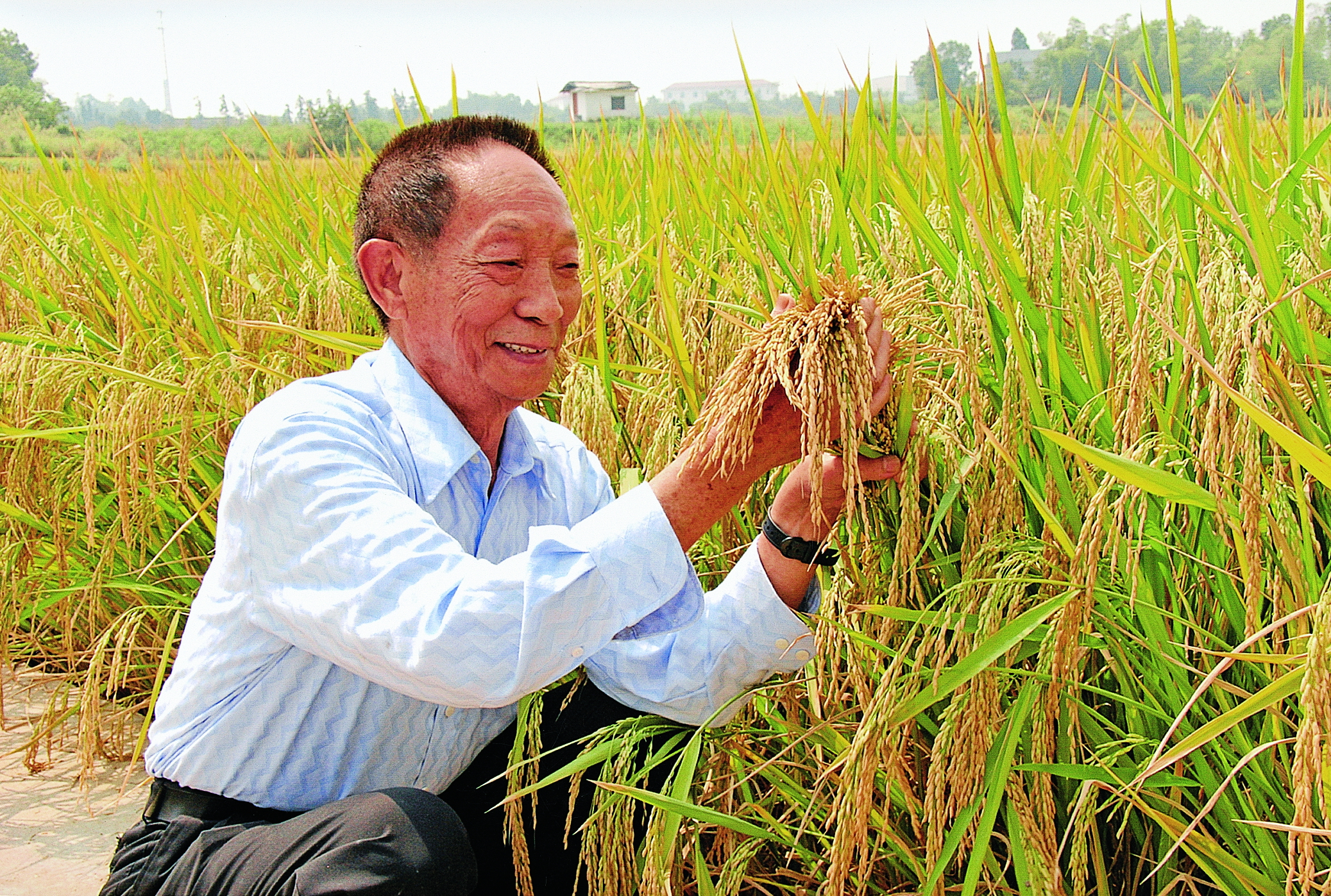袁隆平：追逐禾下乘凉梦