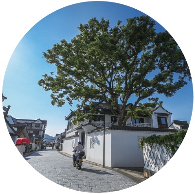 2023年农业农村十大亮点