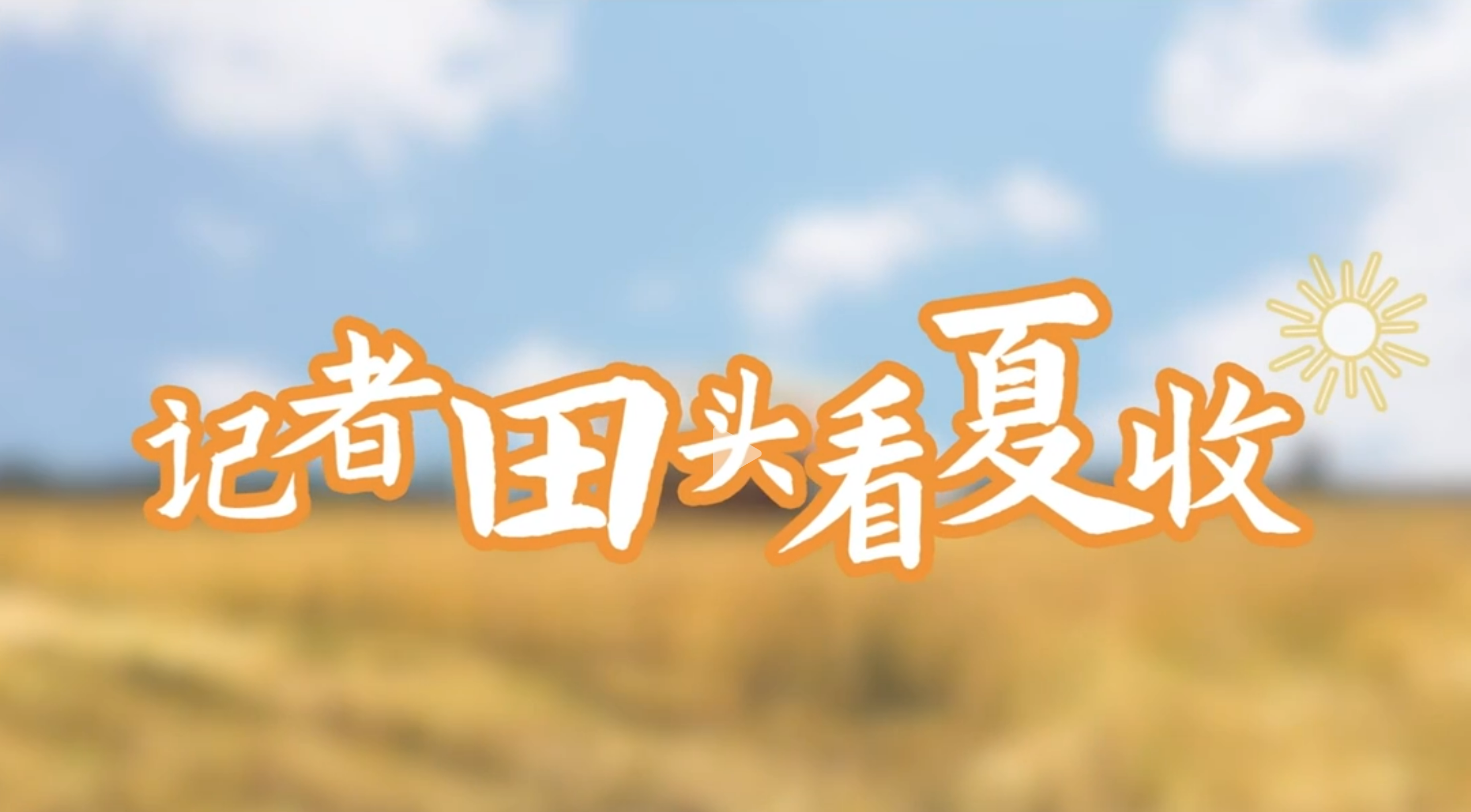 湖北荆门东宝区：油菜“分段”收 减损又紧凑