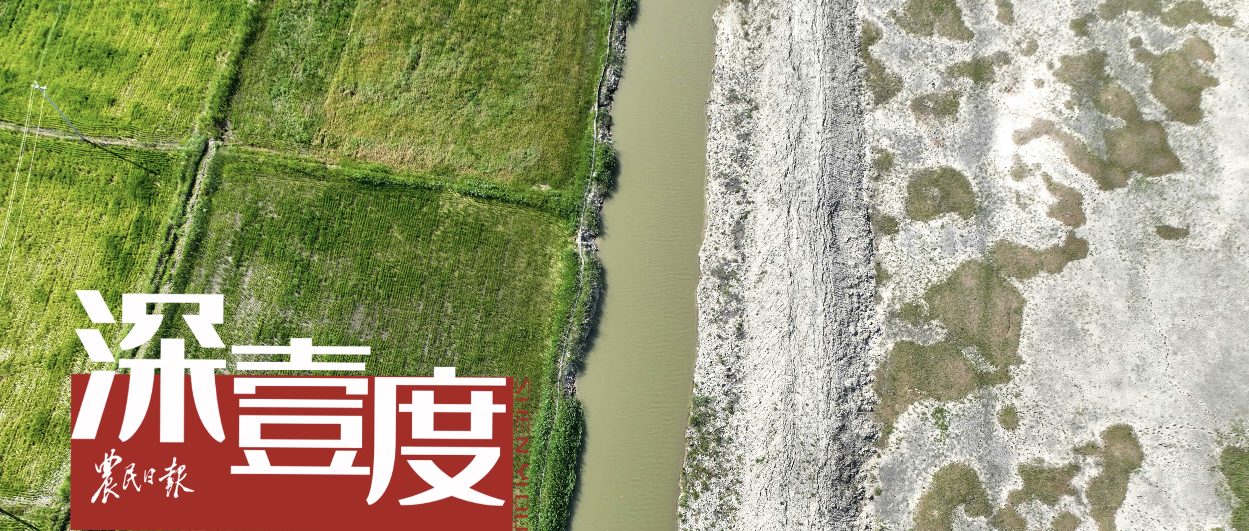 盐碱地如何变良田？