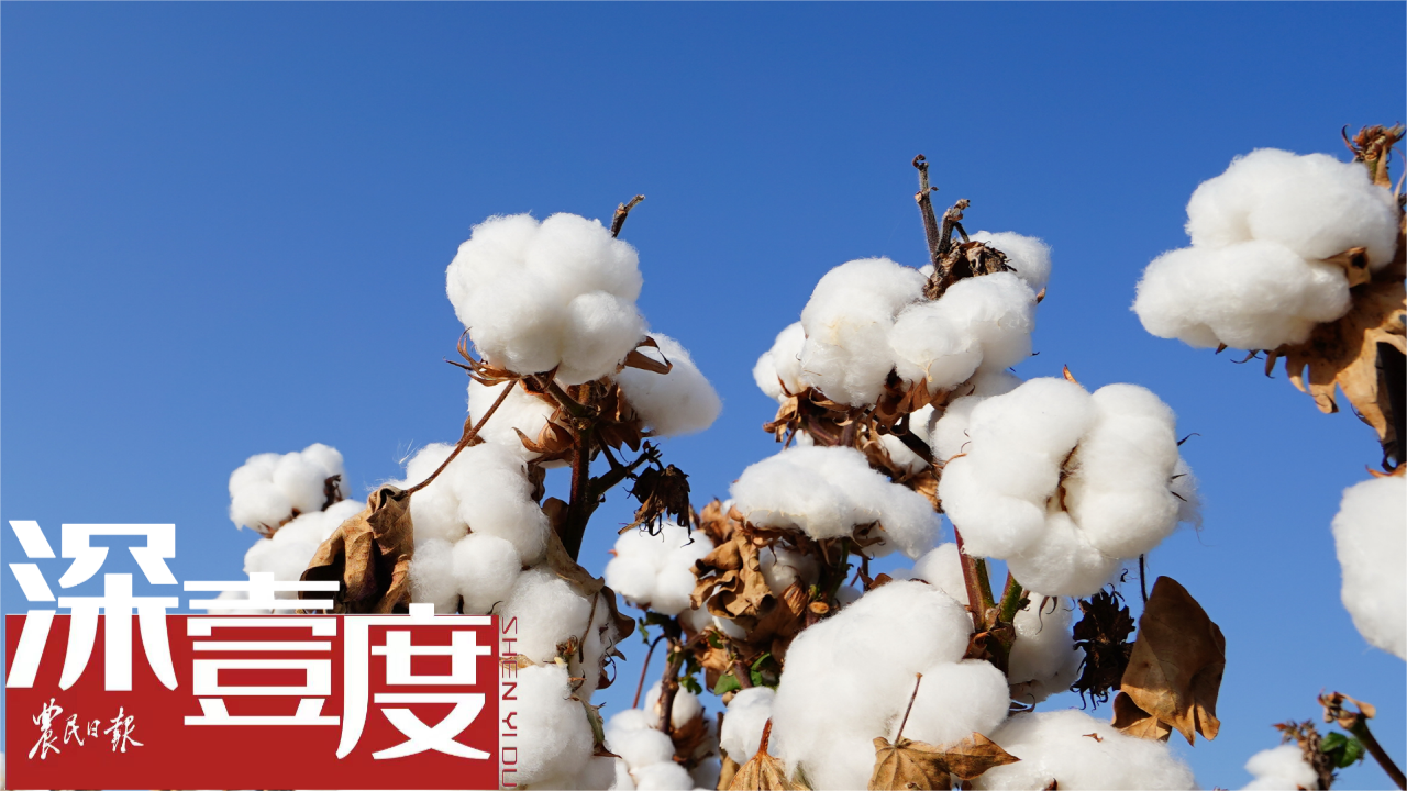 转基因技术，给世界多一种选择