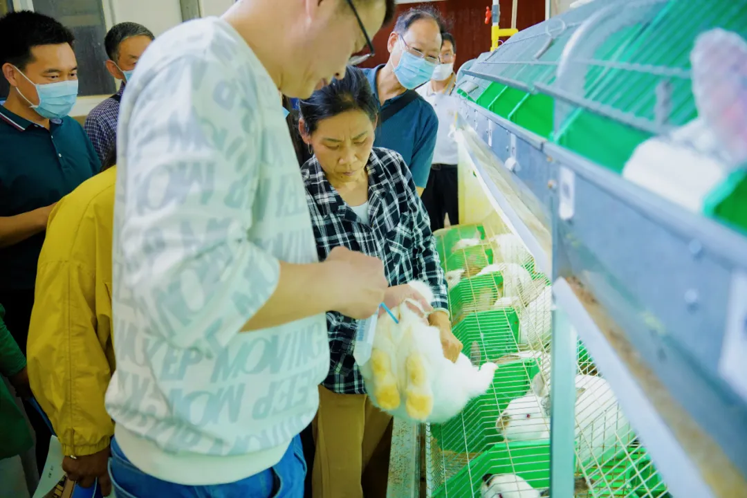中国畜牧业协会联合兔业分会在普安开展技术培训