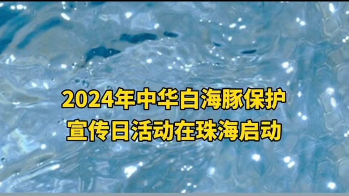 2024年中华白海豚保护宣传日活动在珠海启动