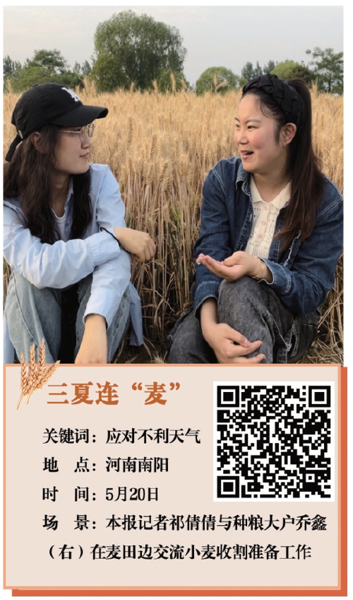 晴雨风云　麦收有计