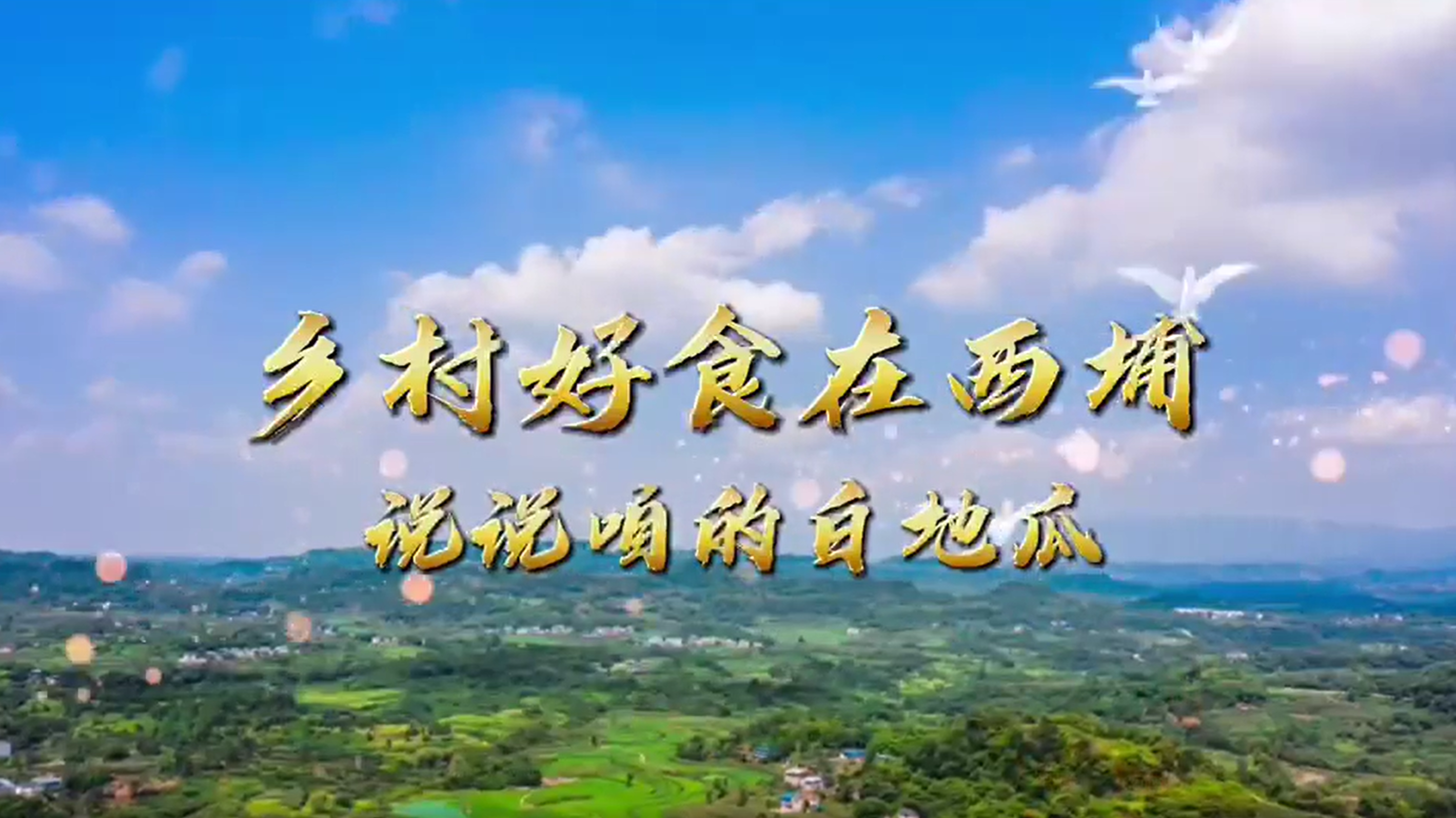 编号27 《乡村好食在西埔，说说咱的白地瓜》